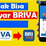 BRImo Tidak Bisa Bayar BRIVA Penyebab Cara Mengatasinya